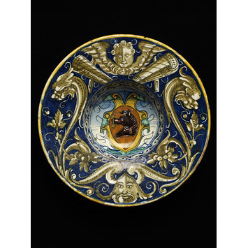 Dish