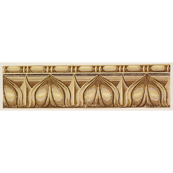 Print - Waterleaf and Tongue; Archer's Cornice