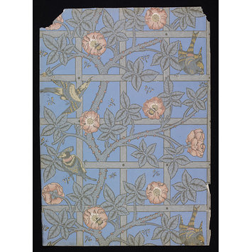 Wallpaper - Trellis Wallpaper - Trellis