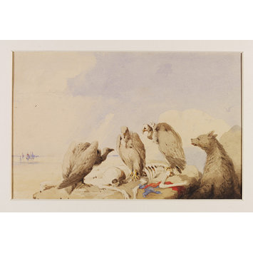 Watercolour - The Hadjis Cheif[sic] Mourners; Griffon vultures feeding on the corpse of a pilgrim to Mecca