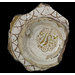 Bowl fragment
