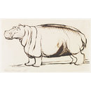 Drawing - Study of a Hippopotamus, full length