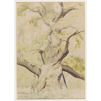Watercolour - Lassington Oak; Recording Britain