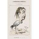 Eugénie  La Grue (Pose-Bêtise); La Ménagerie Impériale (Print)