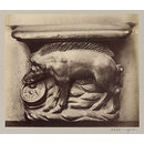 Church of SS Gervais et Protais, Miserere Seat (Pig), XVI Century', Paris, France; Old Paris (Photograph) Church of SS Gervais et Protais, Miserere Seat (Pig), XVI Century', Paris, France; Old Paris (Photograph)
