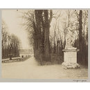 Statue of "Le Sanguin", Versailles, France (Photograph) Statue of "Le Sanguin", Versailles, France (Photograph)