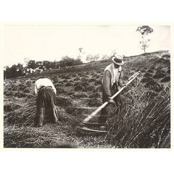 Photograph - Faucheurs, Somme Photograph - Faucheurs, Somme