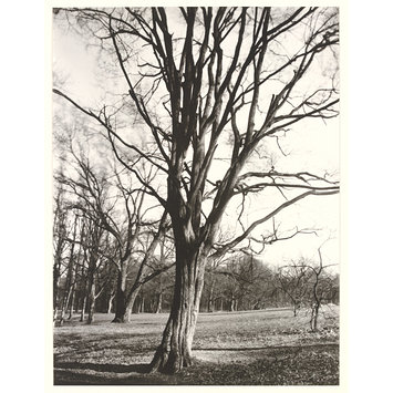 Photograph - Environs of Paris Photograph - Environs of Paris