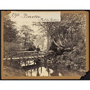 Buxton.  Public Gardens (Photograph)