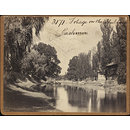 Foliage on the Dhul Canal.  Cashmere (Photograph)