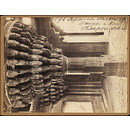 Pillar in Throne of Dewan-i-Kass Futtipore Sikri (Photograph)