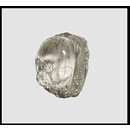 Head - Memento Mori head
