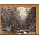 Mulgrave Woods (Photograph)