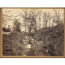 Brook at Newlyn (Photograph)