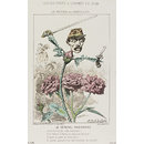 Le Rosier Des Batailles; Fleurs, Fruits & Légumes Du Jour (Print) Le Rosier Des Batailles; Fleurs, Fruits & Légumes Du Jour (Print)