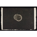 Black  Flag (Print)