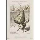 Le Poire; Fleurs, Fruits & Légumes Du Jour (Print)