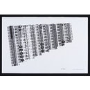 Lines: Vectors (Print)