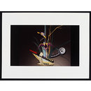 Flower Power (Print)