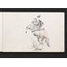 Drawing - Standing horse