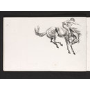 Drawing - Bucking horse