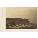 National Photographic Record and Survey (Photograph)
