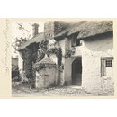 Photograph - National Photographic Record and Survey