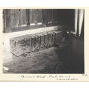 National Photographic Record and Survey (Photograph)