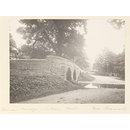 National Photographic Record and Survey (Photograph)