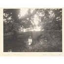 National Photographic Record and Survey (Photograph)