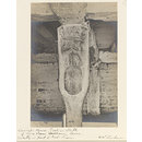 Photograph - National Photographic Record and Survey