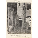 National Photographic Record and Survey (Photograph)