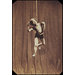 Photograph, Carte-de-visite