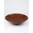 Dish