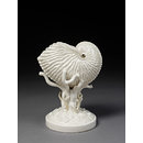 Shell comport