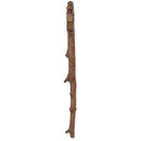 Staff