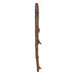 Staff