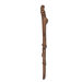 Staff