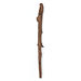 Staff
