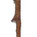 Staff