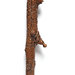 Staff