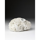 Sponge Vase (Sponge vase)