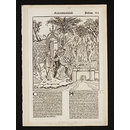 Liber Cronicarum; Nuremberg Chronicle (Print)