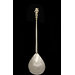 Spoon