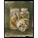 Drawing - Still life study of a pickled fish and snake with a human skull