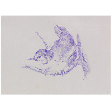 Transfer print - Wren