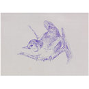 Wren (transfer print)