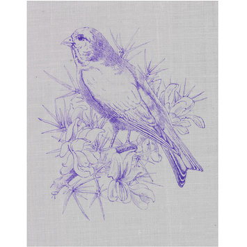 Transfer print - Grey linnet