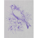 Grey linnet (transfer print)