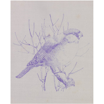 Transfer print - Bullfinch